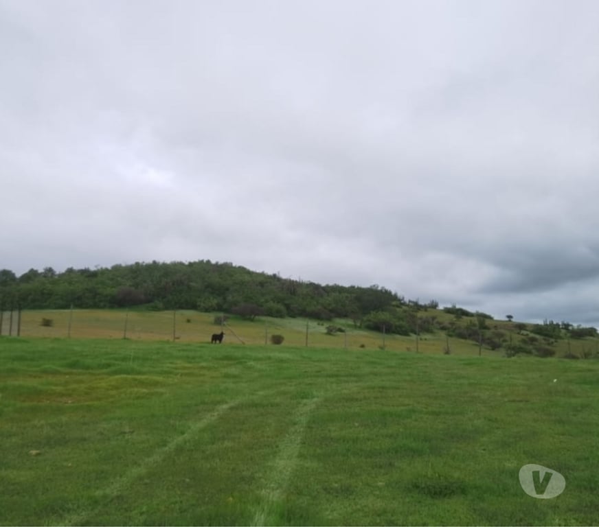 Parcelas en Venta Cardenal Caro Litueche - Fotos de Parcela 5000mts2, el cuzco, Litueche