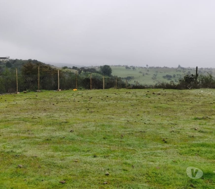 Parcelas en Venta Cardenal Caro Litueche - Fotos de Parcela 5000mts2, el cuzco, Litueche