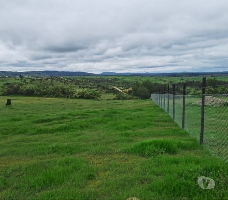 Parcelas en Venta Cardenal Caro Litueche - Fotos de Parcela 5000mts2, el cuzco, Litueche