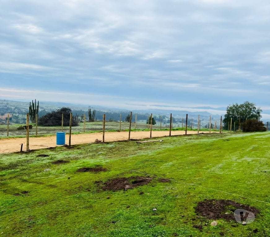 Parcelas en Venta Cardenal Caro Litueche - Fotos de Parcela 5000mts2, el cuzco, Litueche