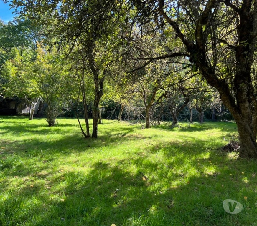 Parcelas en Venta Valdivia Valdivia - Fotos de PRCELA LOS ALAMOS CAMINO A SAN JOSE DE L MARIQUINA