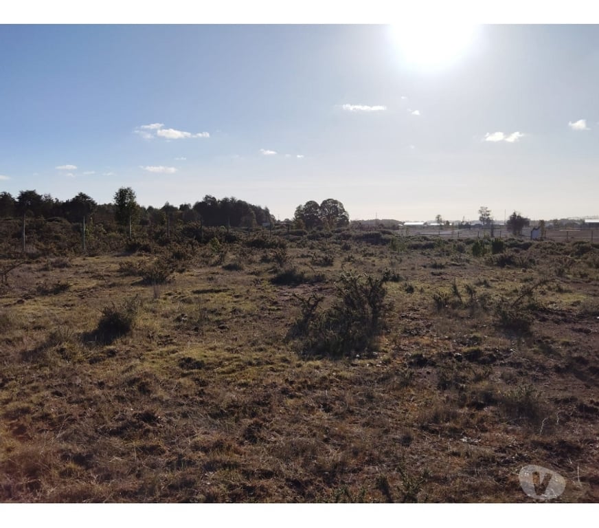 Parcelas en Venta Llanquihue Puerto Varas - Fotos de Vende parcela de 6029 en Club de Campo, Pto. Varas