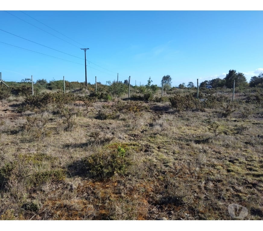 Parcelas en Venta Llanquihue Puerto Varas - Fotos de Vende parcela de 6029 en Club de Campo, Pto. Varas
