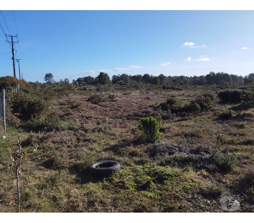 Parcelas en Venta Llanquihue Puerto Varas - Fotos de Vende parcela de 6029 en Club de Campo, Pto. Varas