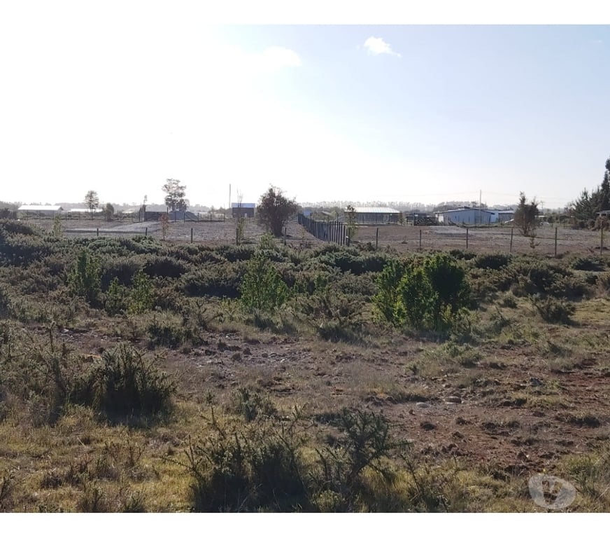 Parcelas en Venta Llanquihue Puerto Varas - Fotos de Vende parcela de 6029 en Club de Campo, Pto. Varas