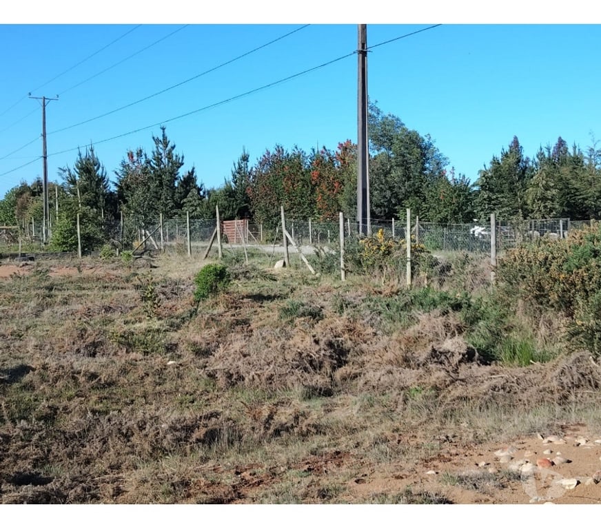 Parcelas en Venta Llanquihue Puerto Varas - Fotos de Vende parcela de 6029 en Club de Campo, Pto. Varas