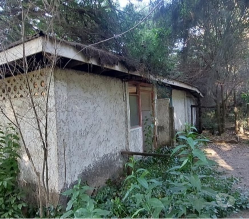 Parcelas en Venta Maipo Paine - Fotos de Pintué-Paine, parcela agrícola de 46.500 m2.