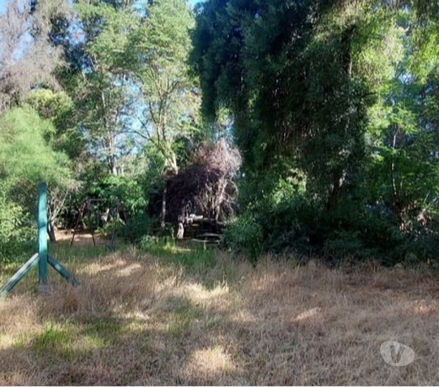 Parcelas en Venta Maipo Paine - Fotos de Pintué-Paine, parcela agrícola de 46.500 m2.