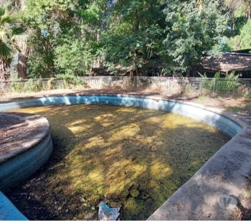 Parcelas en Venta Maipo Paine - Fotos de Pintué-Paine, parcela agrícola de 46.500 m2.