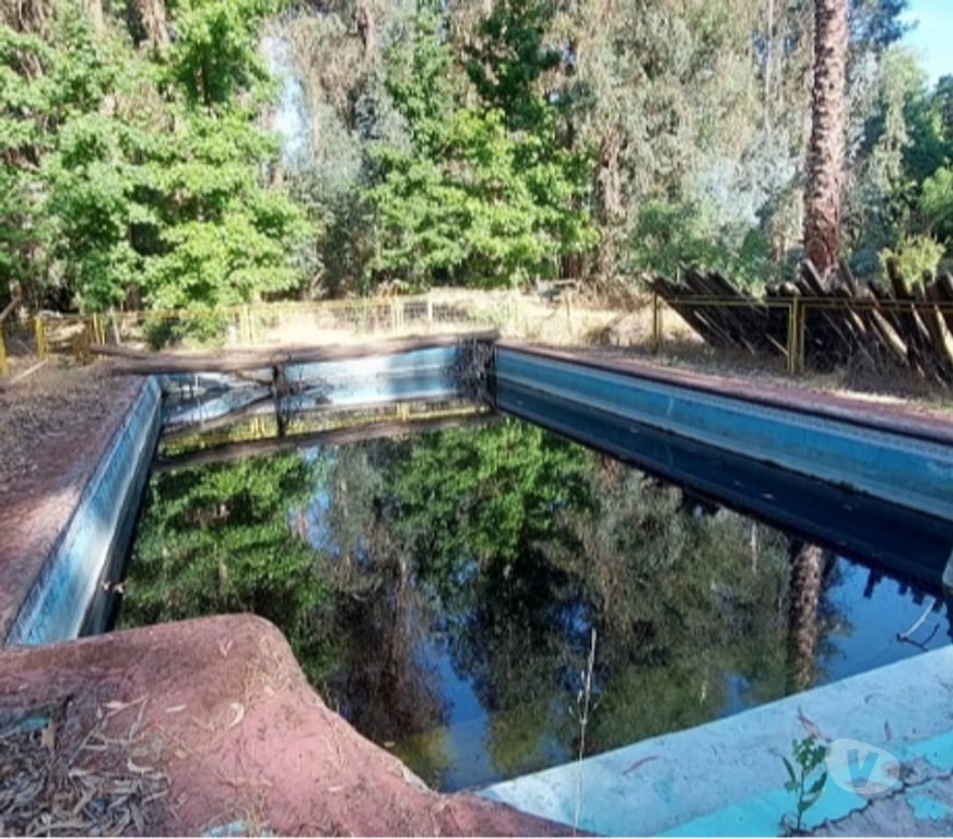 Parcelas en Venta Maipo Paine - Fotos de Pintué-Paine, parcela agrícola de 46.500 m2.