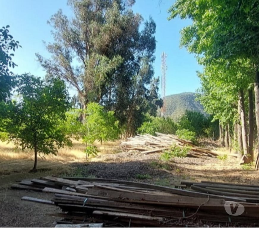 Parcelas en Venta Maipo Paine - Fotos de Pintué-Paine, parcela agrícola de 46.500 m2.