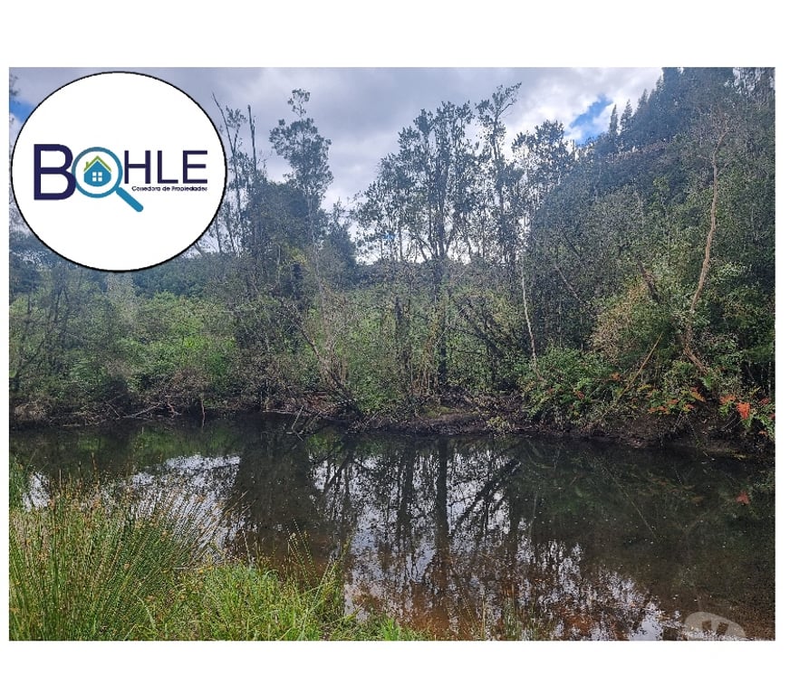 Parcelas en Venta Llanquihue Puerto Varas - Fotos de VENDO - PARCELA ORILLA DE RUTA CAMINO A ENSENADA