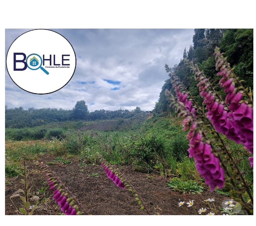 Parcelas en Venta Llanquihue Puerto Varas - Fotos de VENDO - PARCELA ORILLA DE RUTA CAMINO A ENSENADA