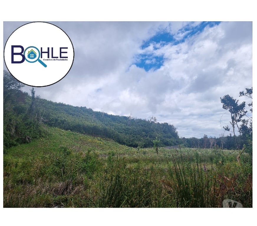 Parcelas en Venta Llanquihue Puerto Varas - Fotos de VENDO - PARCELA ORILLA DE RUTA CAMINO A ENSENADA