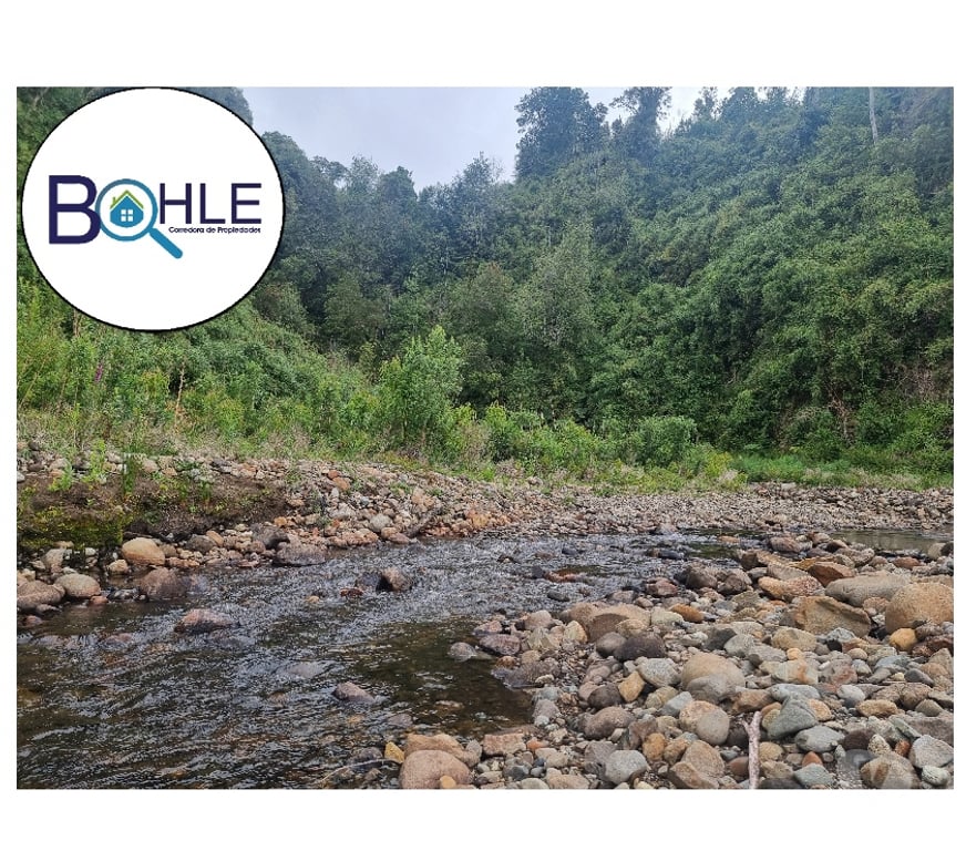 Parcelas en Venta Llanquihue Puerto Varas - Fotos de VENDO - PARCELA ORILLA DE RUTA CAMINO A ENSENADA