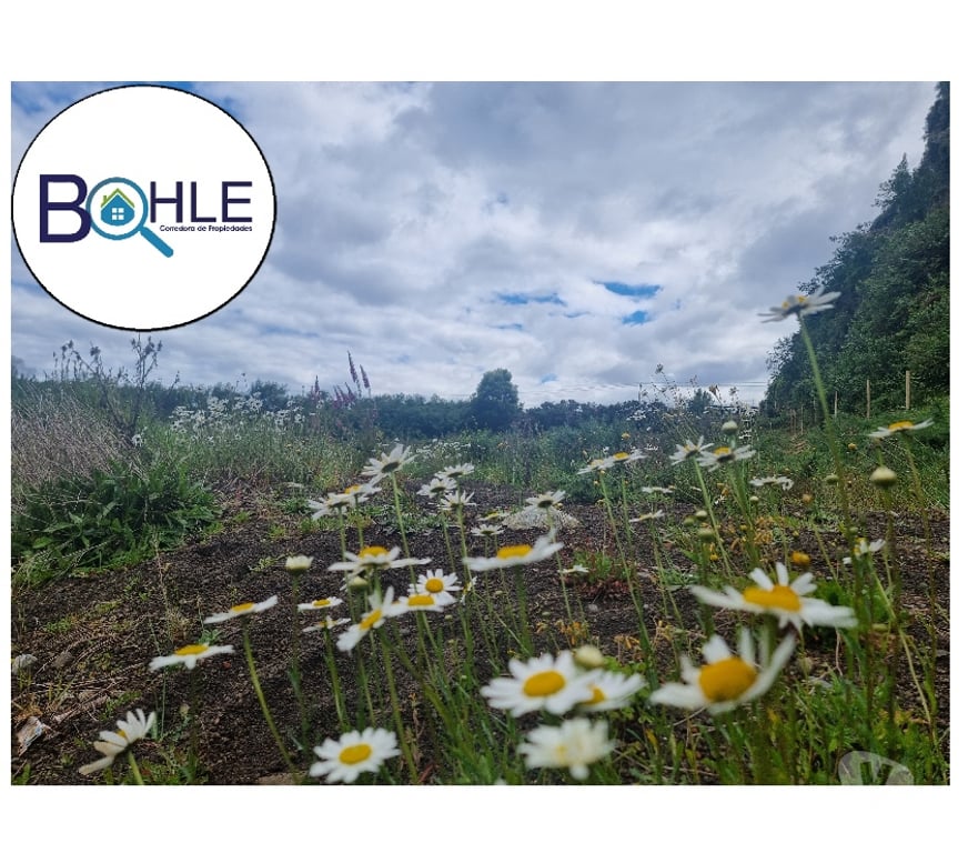 Parcelas en Venta Llanquihue Puerto Varas - Fotos de VENDO - PARCELA ORILLA DE RUTA CAMINO A ENSENADA