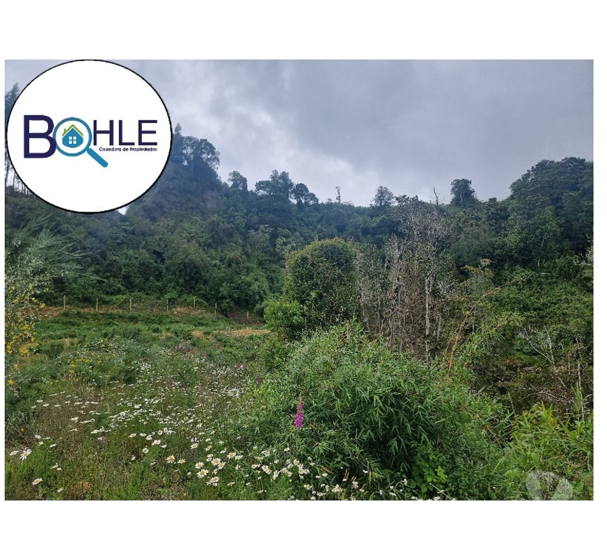 Parcelas en Venta Llanquihue Puerto Varas - Fotos de VENDO - PARCELA ORILLA DE RUTA CAMINO A ENSENADA