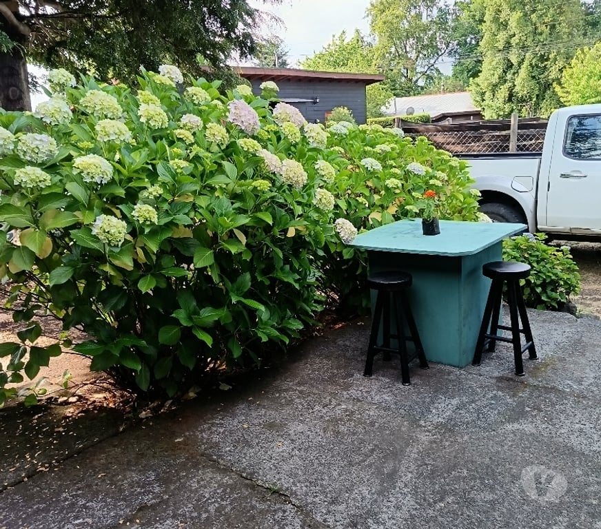 Arriendos Vacaciones Cautín Pucón - Fotos de Cabaña 4 personas en Pucón