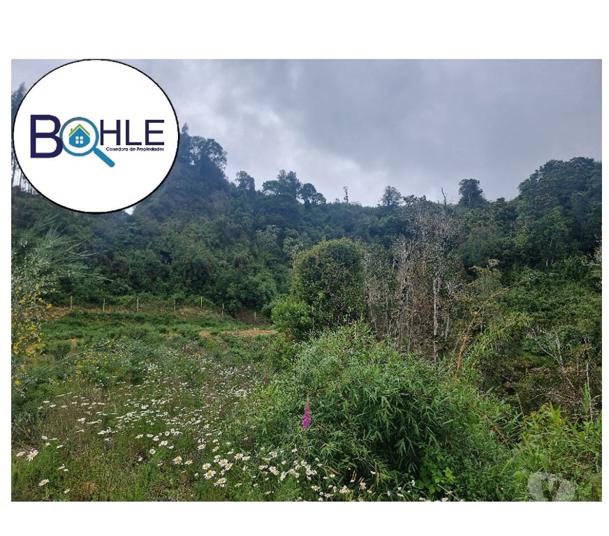 Parcelas en Venta Llanquihue Puerto Varas - Fotos de VENDO - PARCELA ORILLA DE RUTA CAMINO A ENSENADA