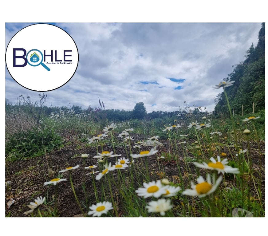 Parcelas en Venta Llanquihue Puerto Varas - Fotos de VENDO - PARCELA ORILLA DE RUTA CAMINO A ENSENADA