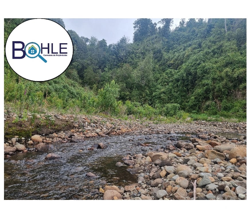 Parcelas en Venta Llanquihue Puerto Varas - Fotos de VENDO - PARCELA ORILLA DE RUTA CAMINO A ENSENADA