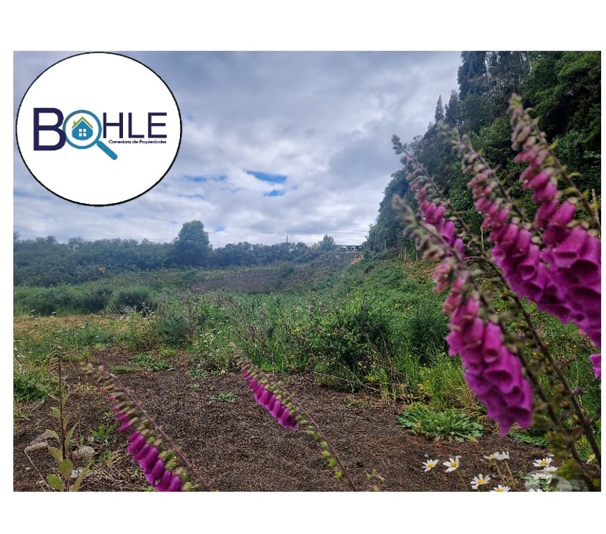 Parcelas en Venta Llanquihue Puerto Varas - Fotos de VENDO - PARCELA ORILLA DE RUTA CAMINO A ENSENADA