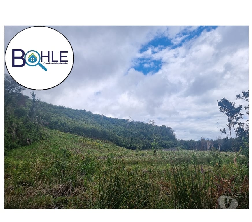 Parcelas en Venta Llanquihue Puerto Varas - Fotos de VENDO - PARCELA ORILLA DE RUTA CAMINO A ENSENADA