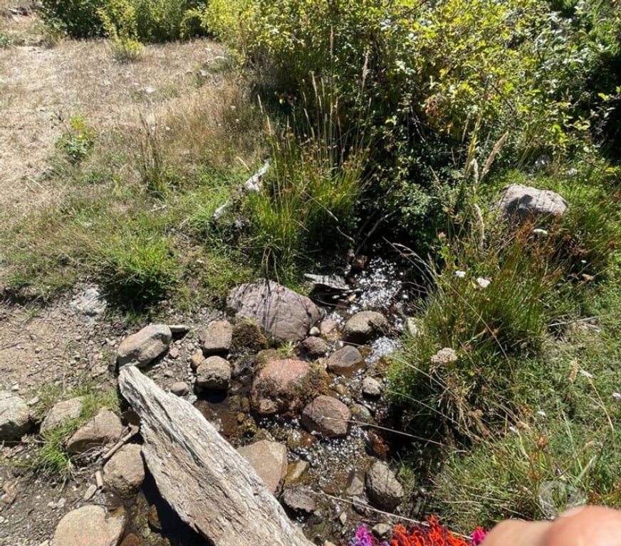 Venta de Haciendas Cautín Curarrehue - Fotos de 1 hectárea en Panqui, Curarrehue