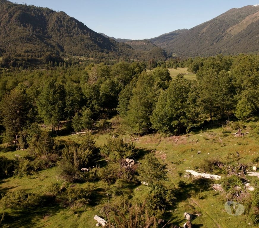 Venta de Haciendas Cautín Curarrehue - Fotos de 1 hectárea en Panqui, Curarrehue