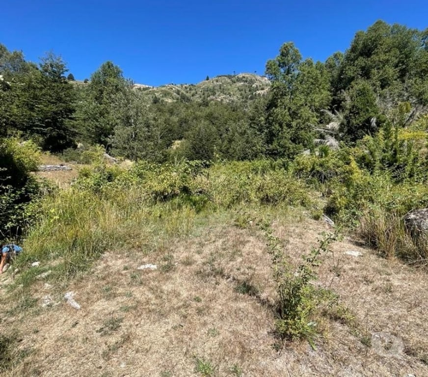 Venta de Haciendas Cautín Curarrehue - Fotos de 1 hectárea en Panqui, Curarrehue