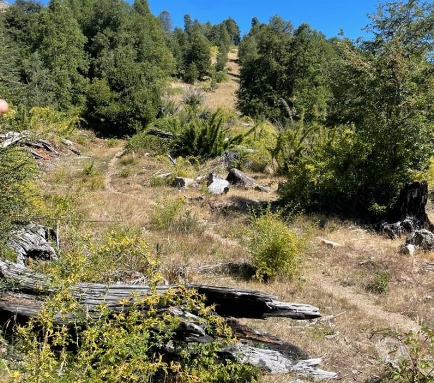 Venta de Haciendas Cautín Curarrehue - Fotos de 1 hectárea en Panqui, Curarrehue