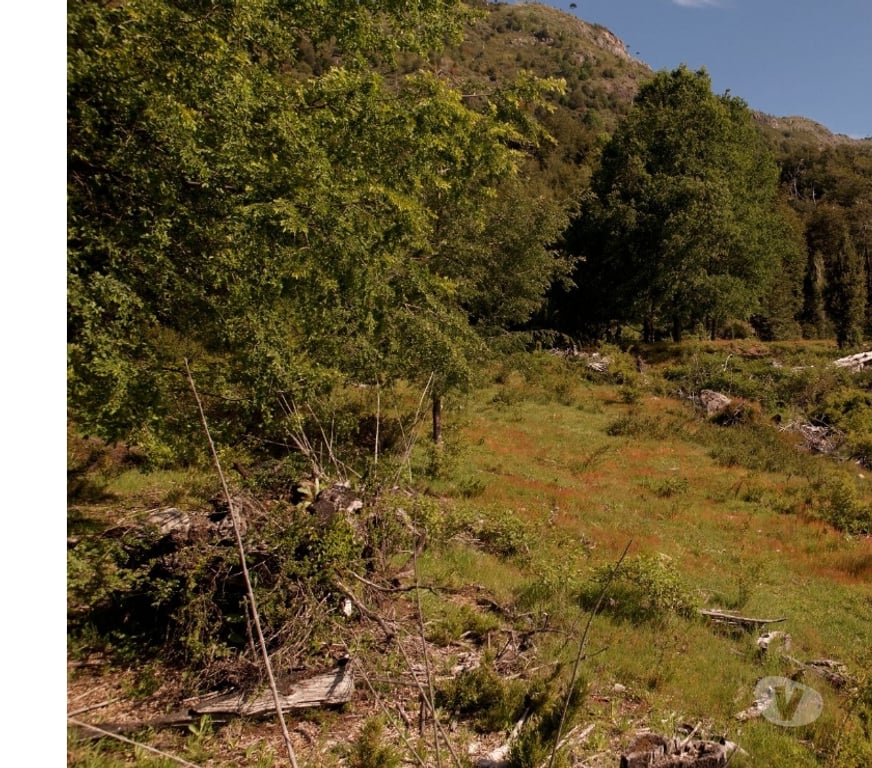 Venta de Haciendas Cautín Curarrehue - Fotos de 1 hectárea en Panqui, Curarrehue