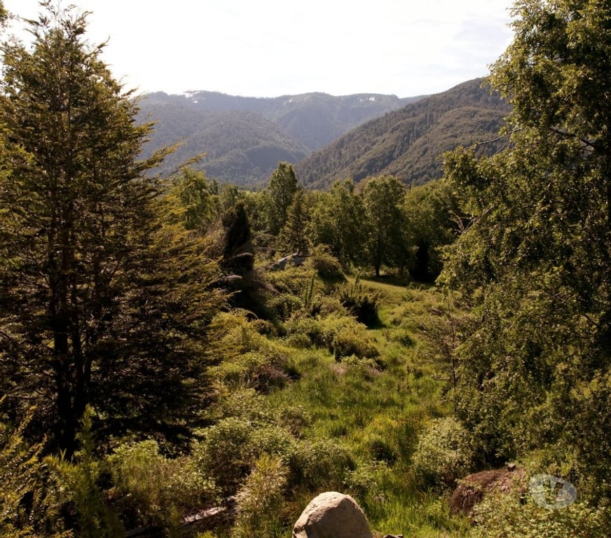 Venta de Haciendas Cautín Curarrehue - Fotos de 1 hectárea en Panqui, Curarrehue