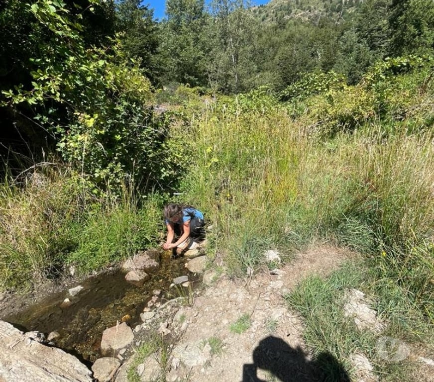 Venta de Haciendas Cautín Curarrehue - Fotos de 1 hectárea en Panqui, Curarrehue