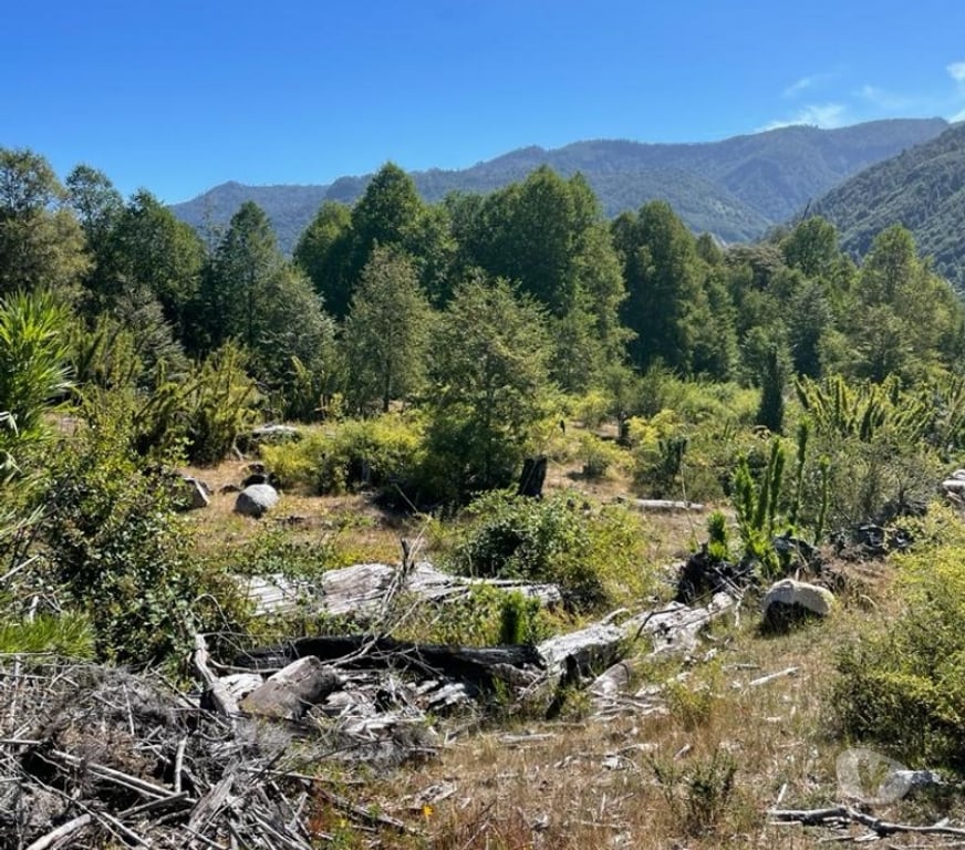 Venta de Haciendas Cautín Curarrehue - Fotos de 1 hectárea en Panqui, Curarrehue
