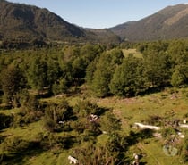 1 hectárea en Panqui, Curarrehue