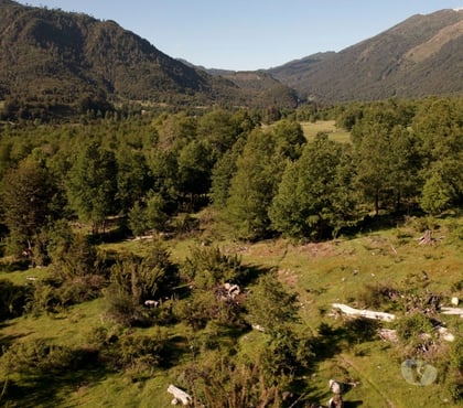 Fundos en Venta Curarrehue Cautín - Fotos de 1 hectárea en Panqui, Curarrehue