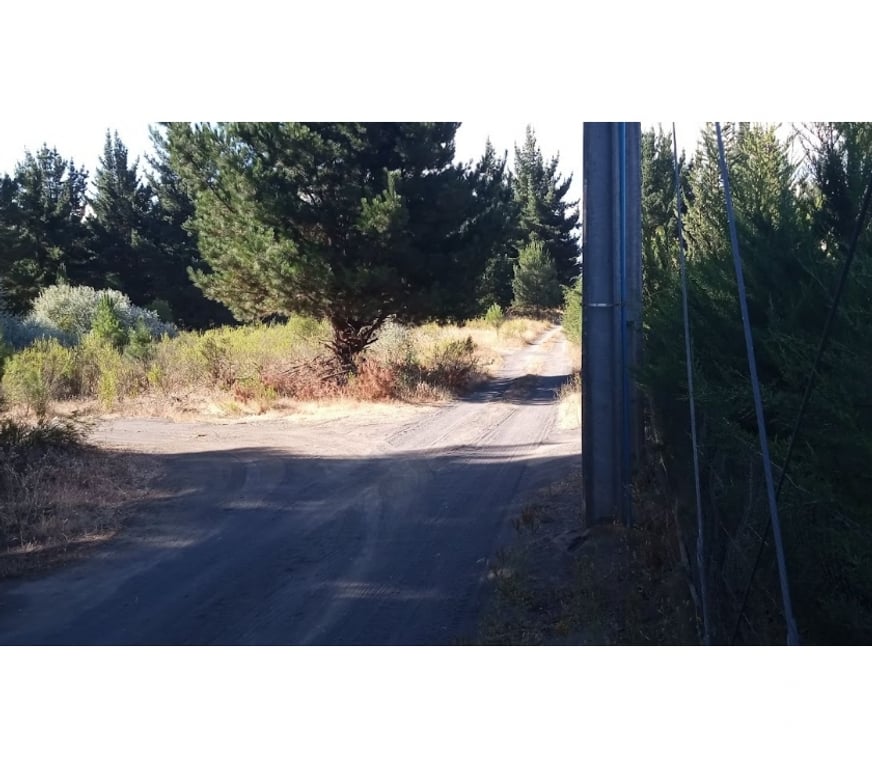 Bienes Raices Bío-Bío Los Ángeles - Fotos de Vende 1há con varias construcciones en Los Ángeles