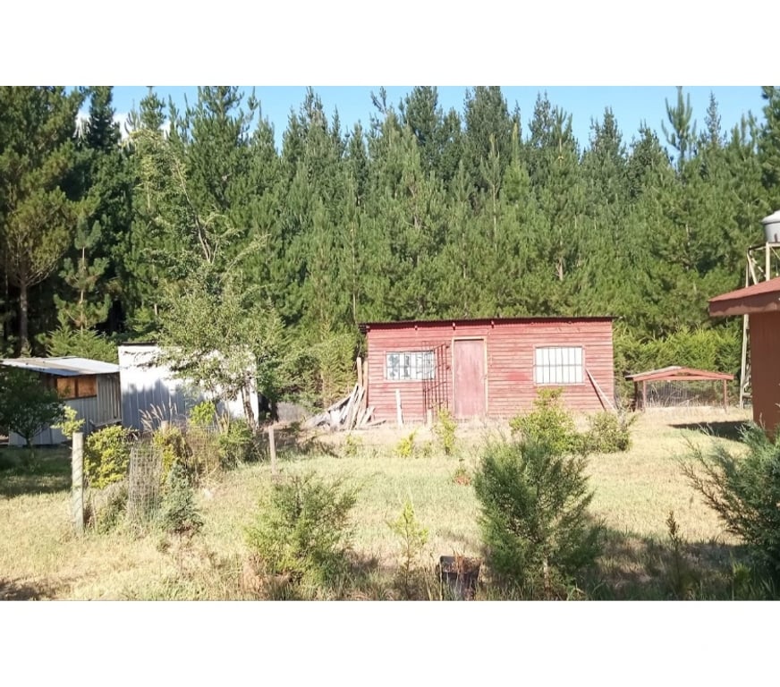 Bienes Raices Bío-Bío Los Ángeles - Fotos de Vende 1há con varias construcciones en Los Ángeles