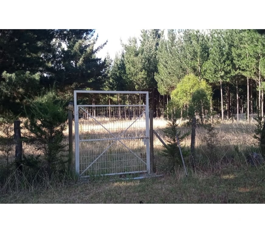 Bienes Raices Bío-Bío Los Ángeles - Fotos de Vende 1há con varias construcciones en Los Ángeles