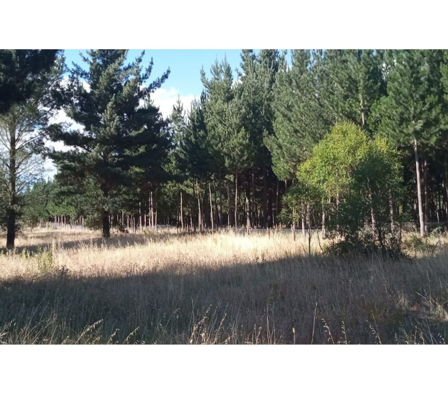 Bienes Raices Bío-Bío Los Ángeles - Fotos de Vende 1há con varias construcciones en Los Ángeles