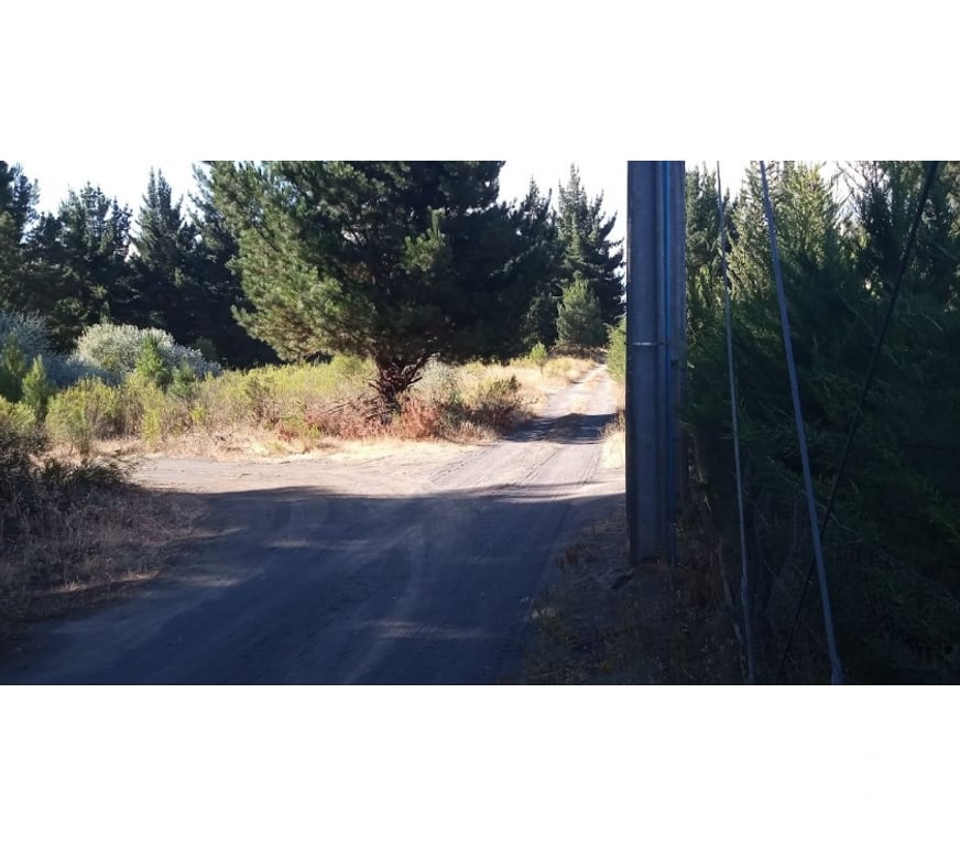 Bienes Raices Bío-Bío Los Ángeles - Fotos de Vende 1há con varias construcciones en Los Ángeles