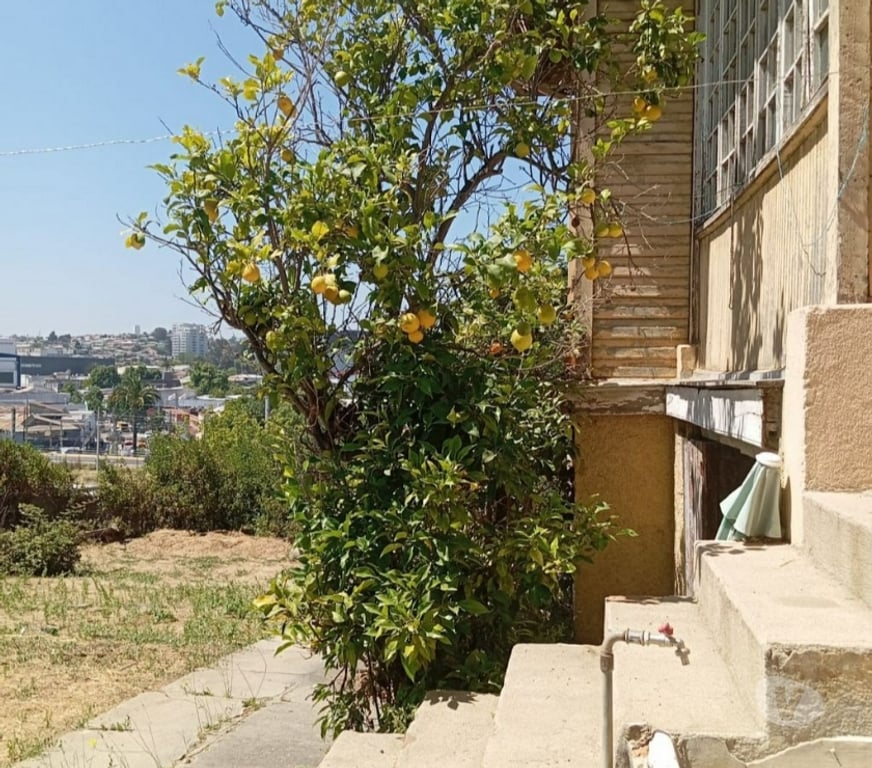 Bienes Raices Valparaíso Quilpué - Fotos de Central casona centro Quilpué