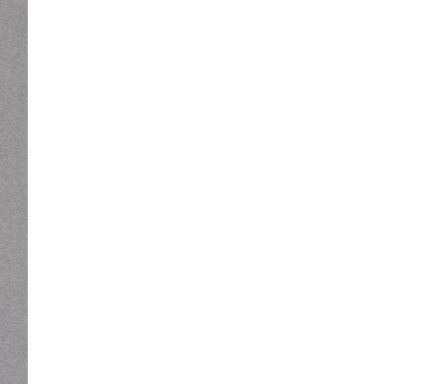 Gatos en Venta Santiago Recoleta - Fotos de Bull dog inglés exótico