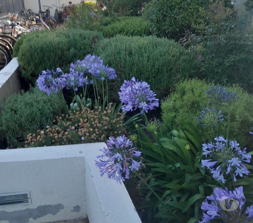 Arriendos Santiago San Joaquín - Fotos de EXCELENTE 1 DORMITORIO CONEX LAV.ESTCIONAM.BODEGA METRO