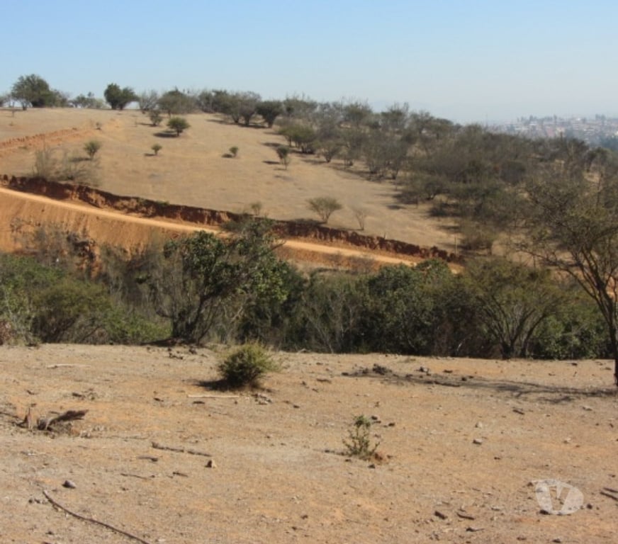 Parcelas en Venta Valparaíso Villa Alemana - Fotos de PARCELA SECTOR EL CARMEN PEÑABLANCA
