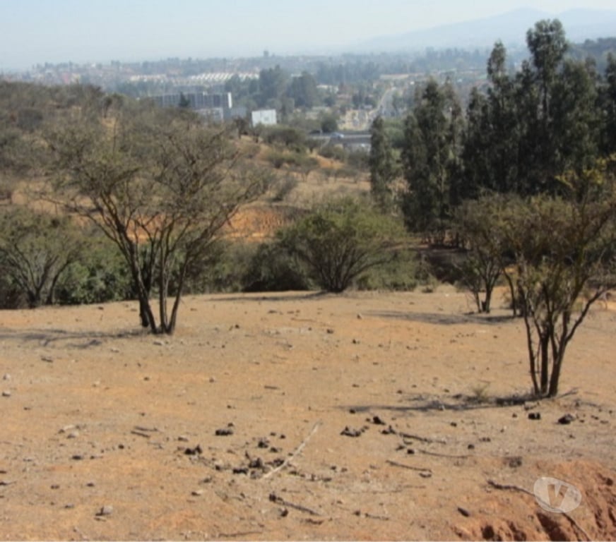 Parcelas en Venta Valparaíso Villa Alemana - Fotos de TERRENO SECTOR EL CARMEN PEÑABLANCA