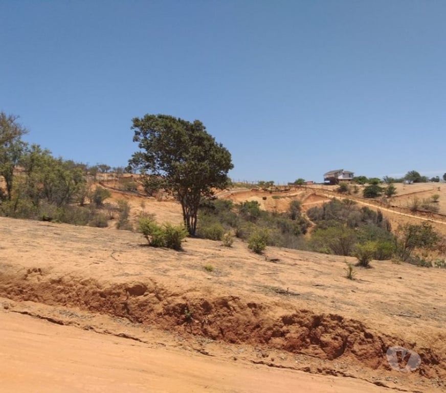 Parcelas en Venta Valparaíso Villa Alemana - Fotos de TERRENO SECTOR EL CARMEN PEÑABLANCA