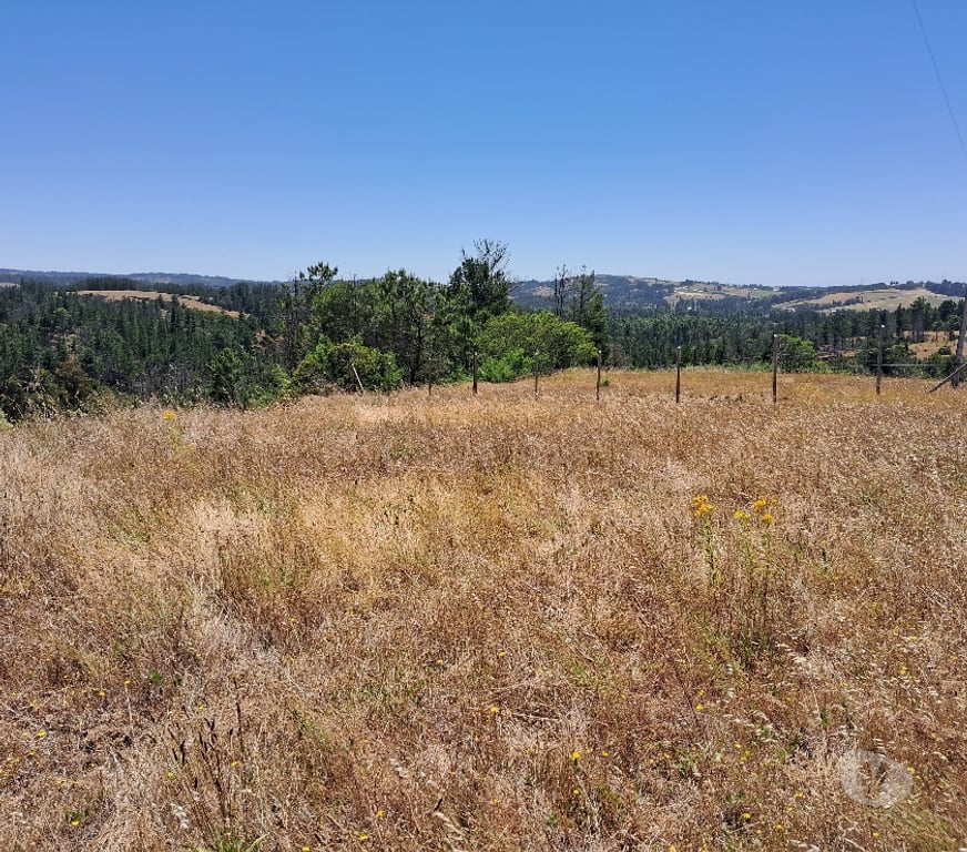 Parcelas en Venta Bío-Bío Yumbel - Fotos de VENTA DE PARCELA PROYECTO LOMAS DE QUENQUEHUE