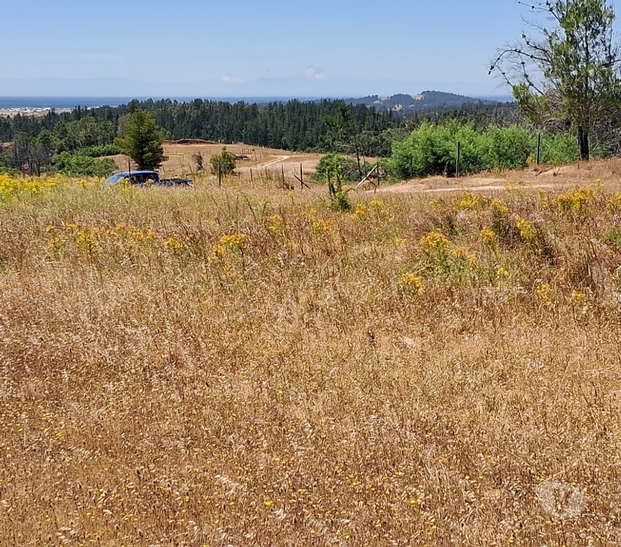 Parcelas en Venta Bío-Bío Yumbel - Fotos de VENTA DE PARCELA PROYECTO LOMAS DE QUENQUEHUE